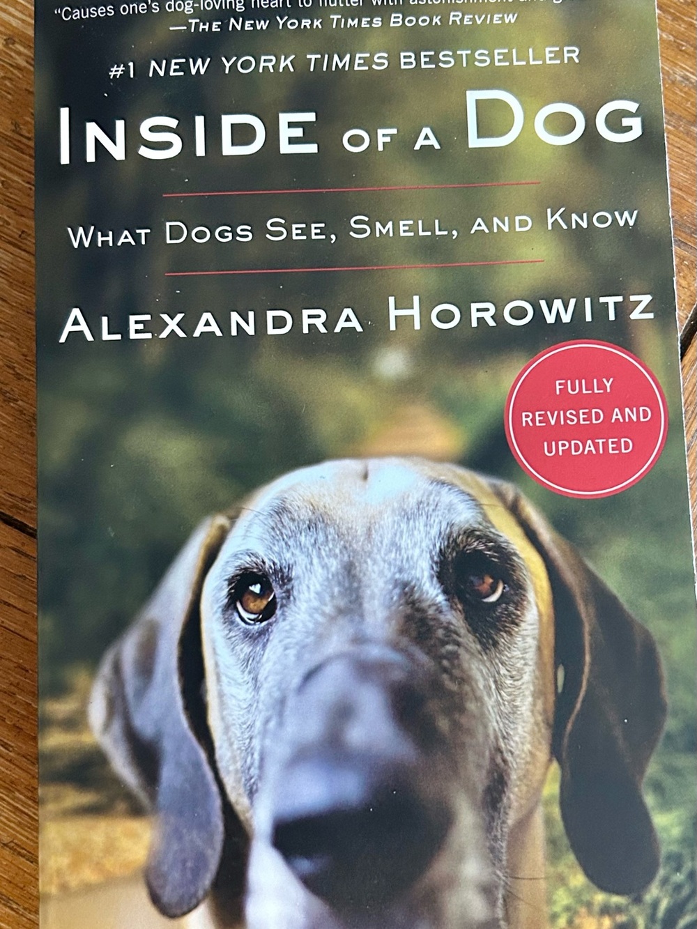 Inside of a Dog - Book (Gray/Brown Cover)